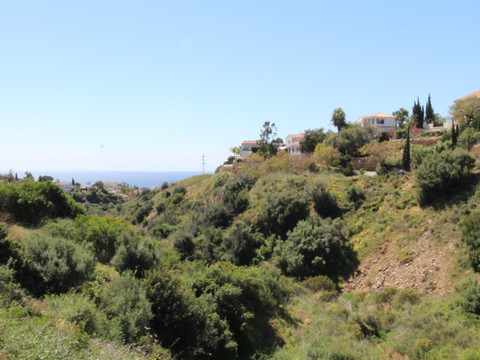 img_R4793920_7a68mvufs7l0