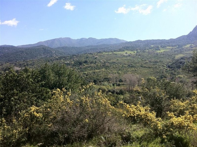 Gaucín, Costa del Sol, Málaga, Spain - Plot - Land