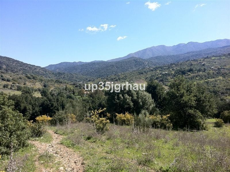 Casares, Costa del Sol, Málaga, Spain - Plot - Land