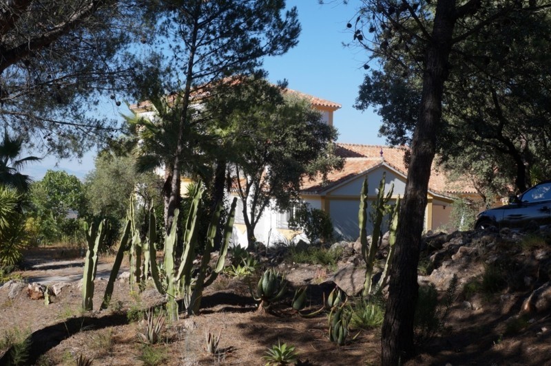 Monda, Costa del Sol, Málaga, Spain - Villa - Finca