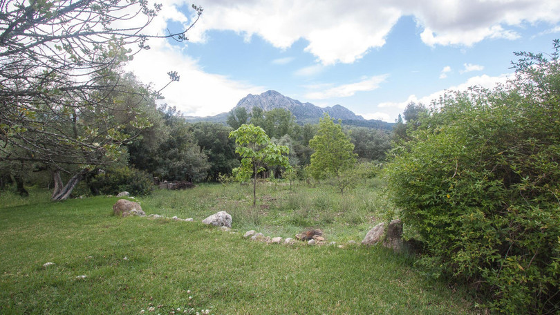 Magnificent  country property for sale  situated in a charming area along the Genal river, in the area of Casares, 35 minutes by car to Estepona, i...