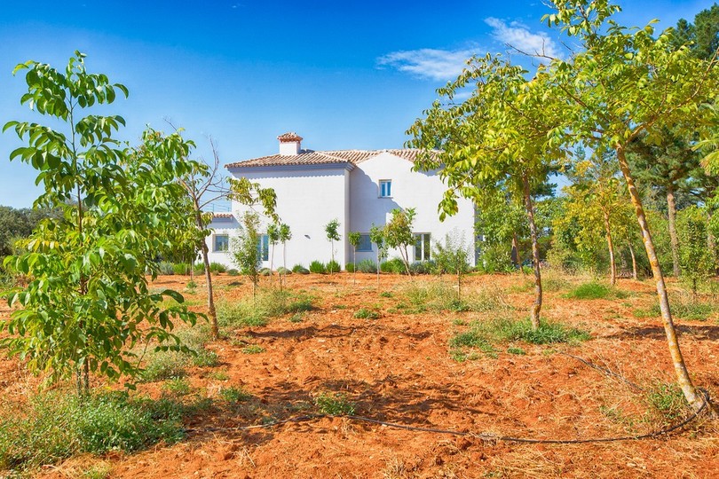 This is a rare opportunity to purchase an established country estate of 3 hectares (flat land) planted with 1,000 walnut trees.