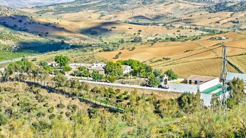 Beautiful Finca with separate guest accomodation, stable, riding school and production of olive trees, avocados, and several fruit trees.
