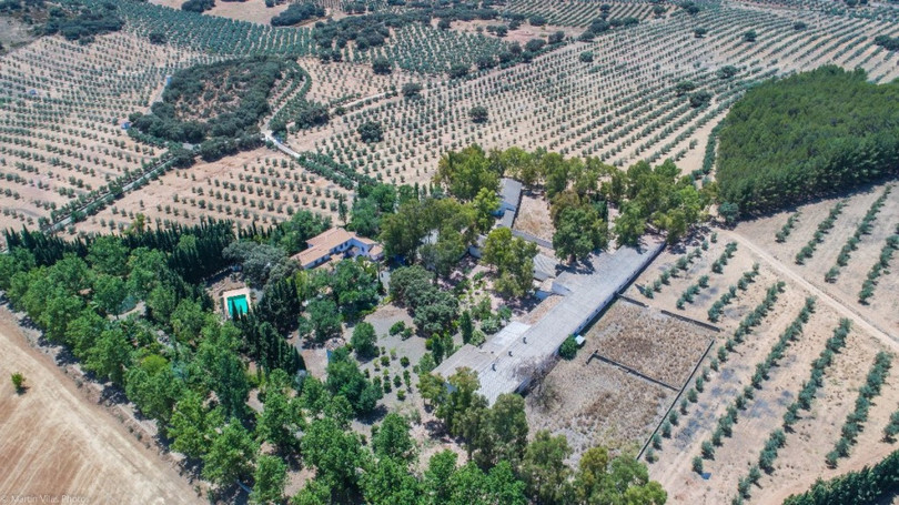 Fantastically Elegant Finca Between Archidona and Villanueva de Tapia, which is Totally Fenced/ Walled.