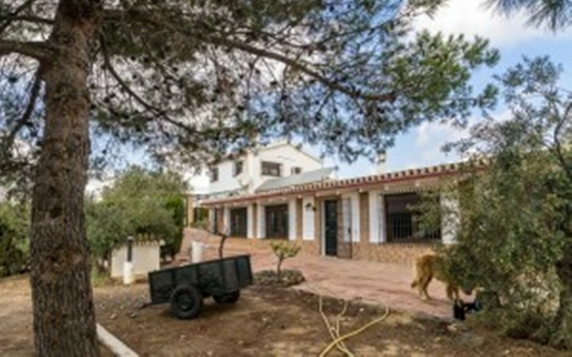 2278-V FANTASTIC FINCA FOR SALE on 70 000m2 of fenced plot, consists of many facilities in perfect condition, a house of 300m2 with living-dining room