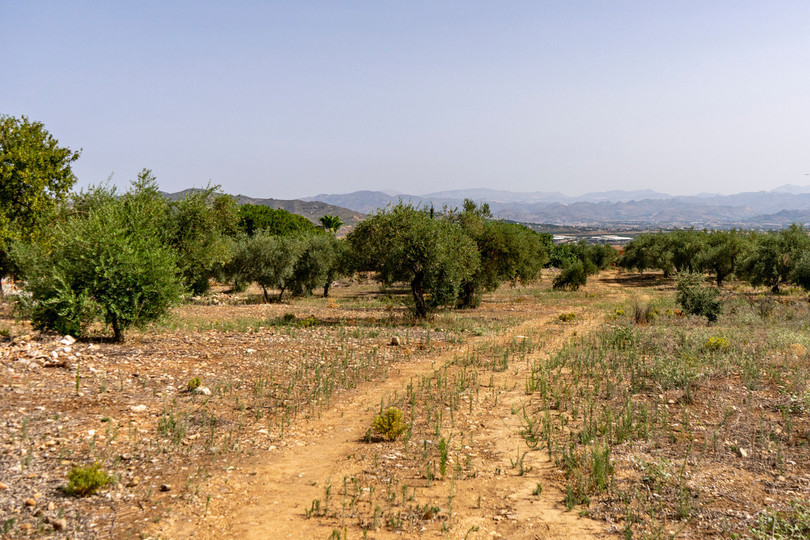 Plot located in Pinos de Alhaurin, very central to all amenities, with many possibilities to build it, has the ability to build 17 villas on plots...