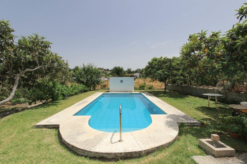 **   Your own patch of PARADISE  ***