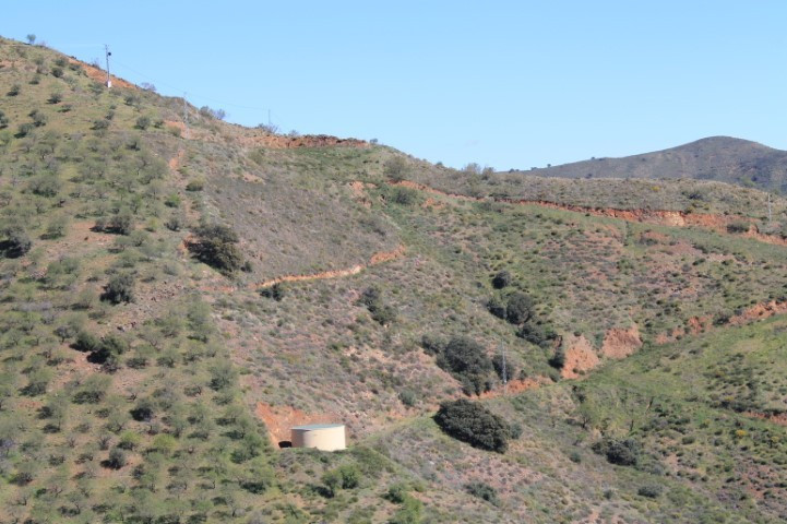 El Borge, Costa del Sol East, Málaga, Spain - Plot - Land