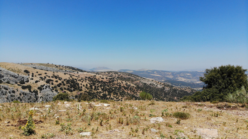 Ronda, Costa del Sol, Málaga, Spain - Plot - Land