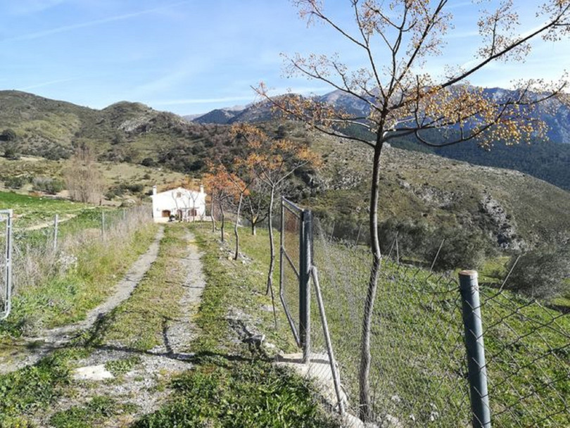 This very spacious country house is situated in the hills near the beautiful village of Alcaucín.