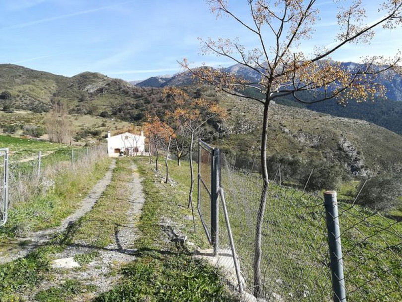 Alcaucín, Costa del Sol East, Málaga, Spain - Villa - Finca