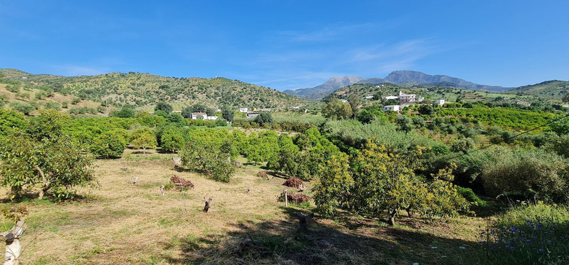 Great opportunity to purchase a total of more than 22.000m2 of land in the area of Tolox, offering different fruit trees, avocado trees and olive t...