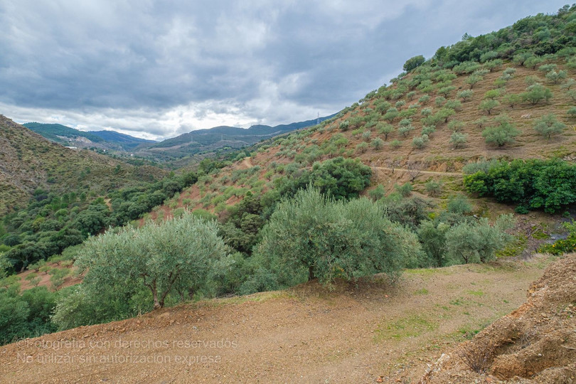 Rustic finca in Monda, Malaga, near the Costa del Sol with more than 36.000 m2 of land used as olive grove.