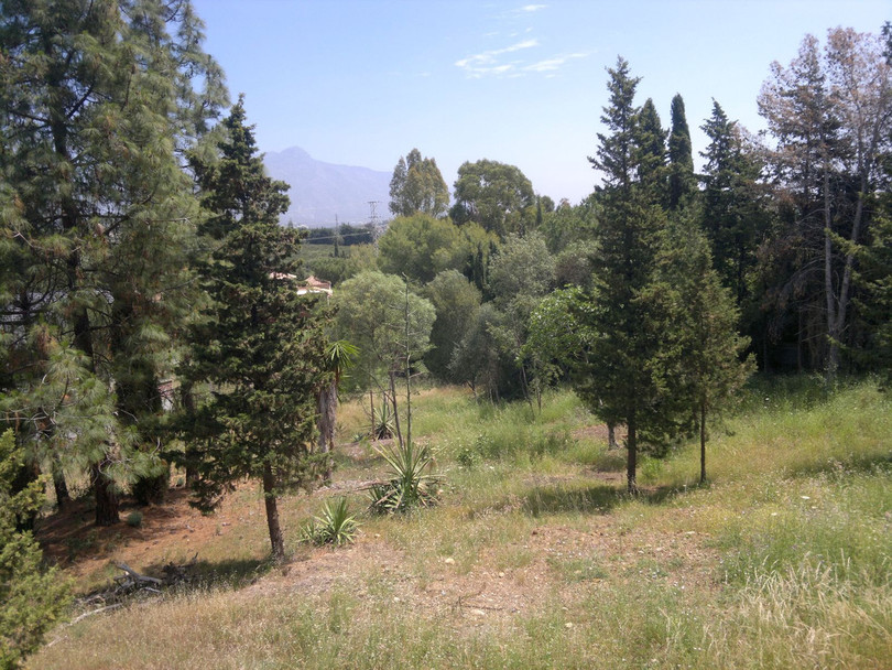 Guadalmina Alta, Costa del Sol, Málaga, Spain - Villa - Finca
