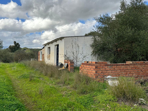 img_R4917487_17lpens1ft5g